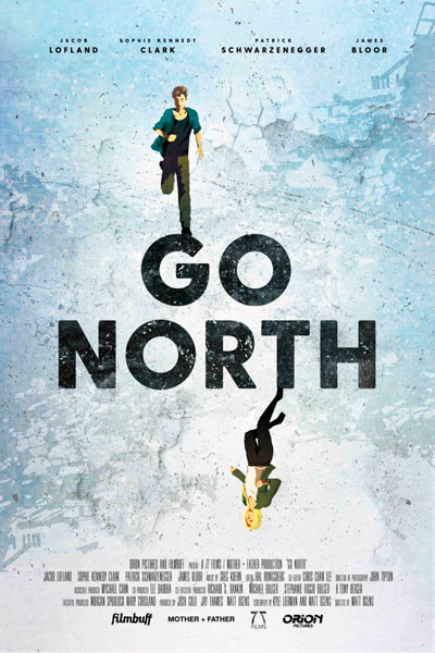 Постер к фильму На север