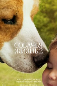 Постер: Собачья жизнь 2