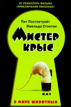 Постер: Мистер крыс