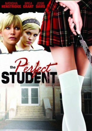 Постер к фильму Идеальный студент