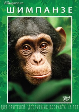 Постер к фильму Шимпанзе