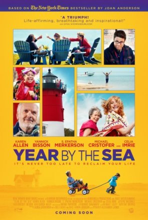 Постер к фильму Год у моря