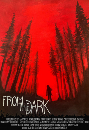 Постер к фильму Из темноты
