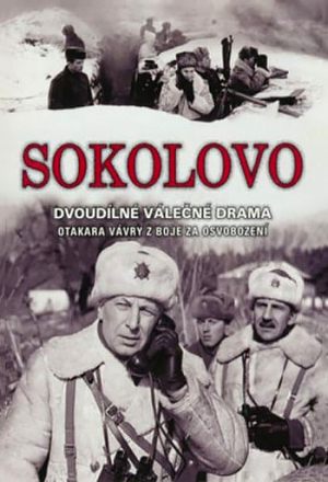 Постер к фильму Соколово