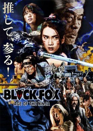 Постер к фильму Чёрная лиса: Эпоха ниндзя