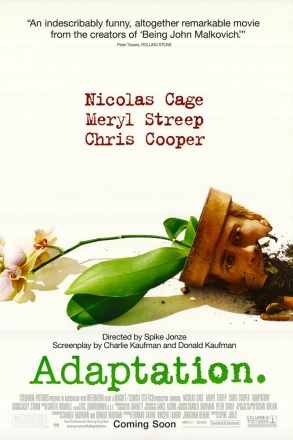 Постер к фильму Адаптация