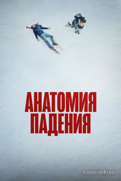 Постер к фильму Анатомия падения